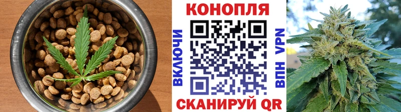 Еда ТГК марихуана  МЕГА маркетплейс  Ельня 