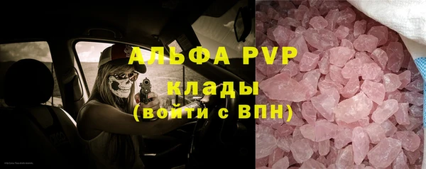 прущие грибы Аркадак