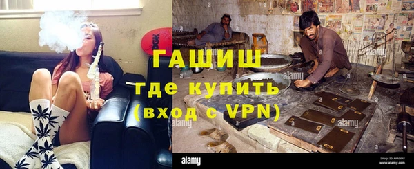 прущие грибы Аркадак