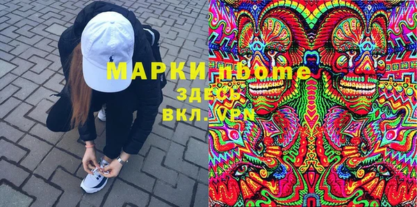 прущие грибы Аркадак
