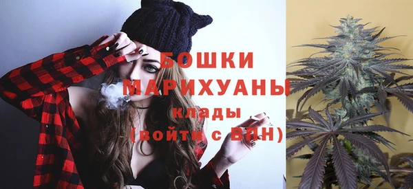 прущие грибы Аркадак