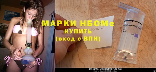 прущие грибы Аркадак