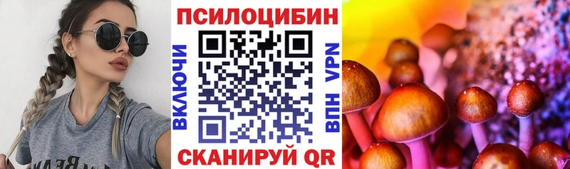 Псилоцибиновые грибы мицелий  магазин    блэк спрут вход  Ельня 